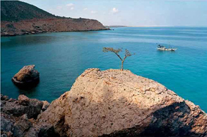 الجزر اليمنية
