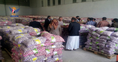 ارتفاع إنتاجية اليمن من الثوم إلى خمسة آلاف طن بزيادة 50 % عن العام الماضي
